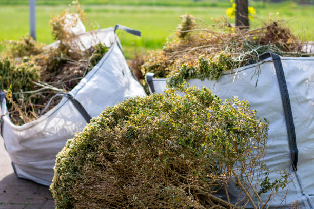 Best Construction Debris Removal  in Whitewater, CA