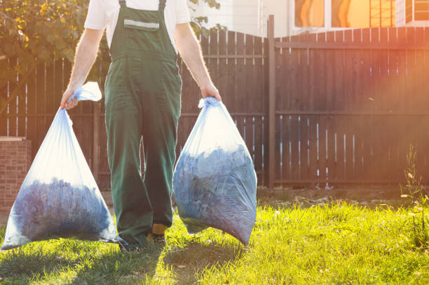 Best Electronics Removal Services  in Whitewater, CA